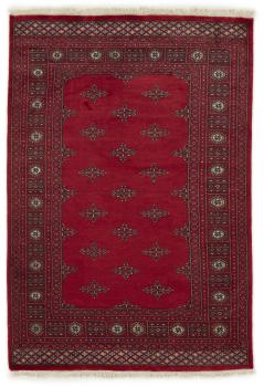 Pakistan Buchara 2ply 203x139