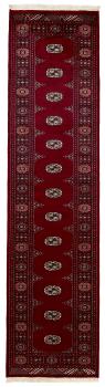 Pakistan Buchara 2ply 310x78