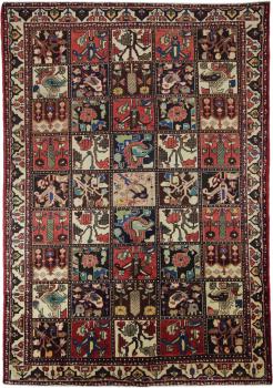 Μπαφτιάρ 311x209