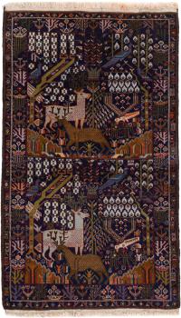 Belutsch 198x116