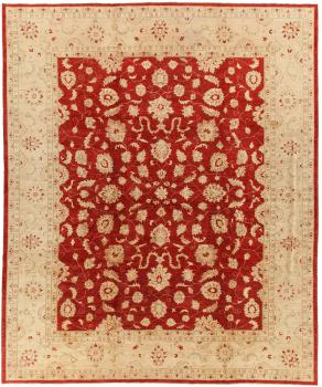 Ziegler Farahan 446x372