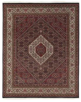 Indo Bidjar 252x203