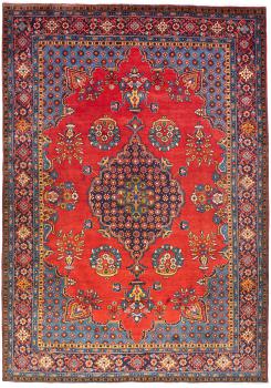 Saruk 331x232