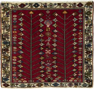 Shiraz 62x69