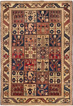 Bakhtiar 205x138