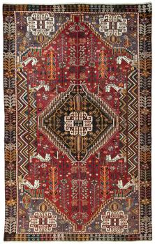 Shiraz 232x144