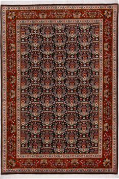 Tabriz 50Raj 154x99