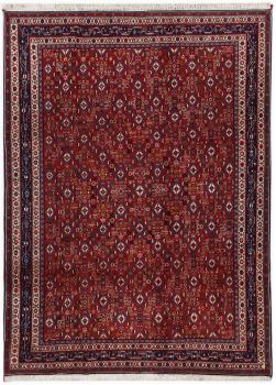 Kashkuli 361x249
