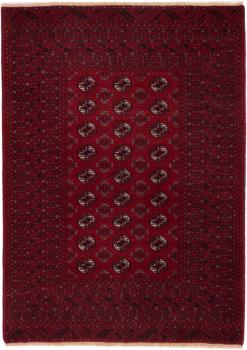 Afghan Mauri 172x126