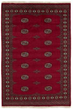 Pakistan Buchara 2ply 203x138