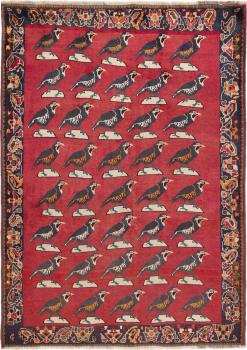 Shiraz Old 193x136