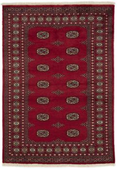 Pakistan Buchara 2ply 194x138