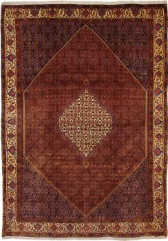 Bidjar Tekab 334x235