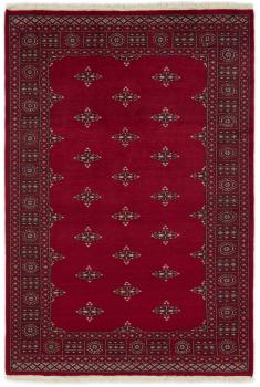 Pakistan Buchara 2ply 203x138