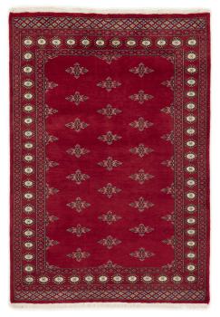 Pakistan Buchara 2ply 199x136