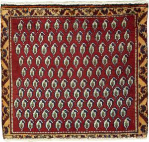Shiraz 58x51