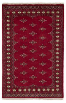 Pakistan Buchara 2ply 210x136