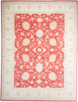 Super Kazak 364x275