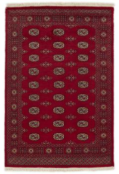 Pakistan Buchara 2ply 202x134