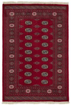 Pakistan Buchara 2ply 203x140