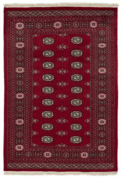 Pakistan Buchara 2ply 200x139