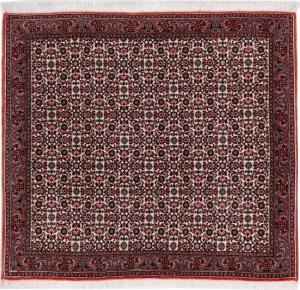 Bidjar 149x72