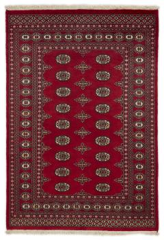 Pakistan Buchara 2ply 201x138