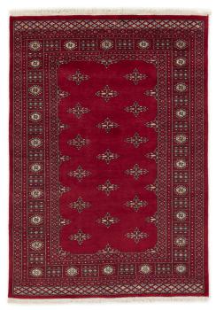 Pakistan Buchara 2ply 200x139