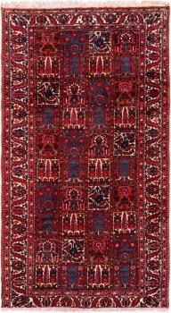 Bakhtiari 299x170