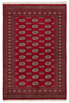 Pakistan Buchara 2ply 204x135