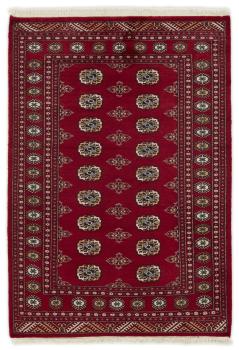 Pakistan Buchara 2ply 194x138