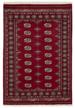 Pakistan Buchara 2ply 198x137