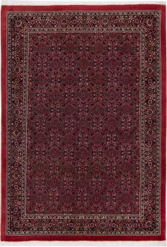 Bidjar 171x118