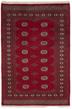 Pakistan Buchara 2ply 204x137