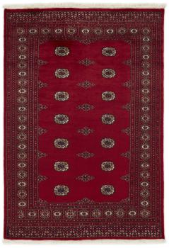 Pakistan Buchara 2ply 200x140