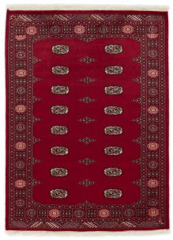 Pakistan Buchara 2ply 187x136