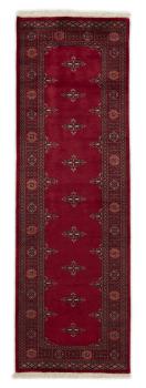 Pakistan Buchara 2ply 249x79