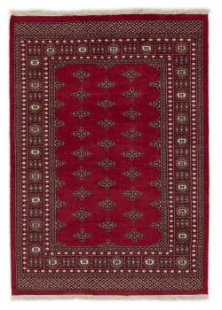 Pakistan Buchara 2ply 197x141