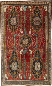 Shiraz 269x161