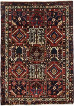 Bakhtiari 184x133