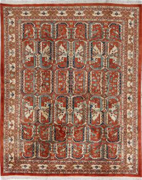 Perzisch Gabbeh Kashkuli 243x204
