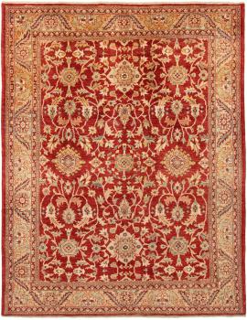Ziegler Farahan 263x221