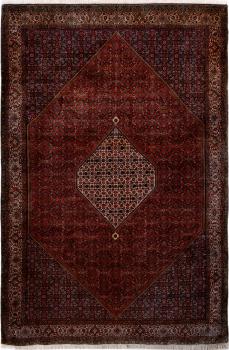 Bidjar 305x206
