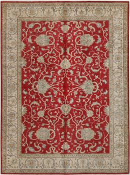 Ziegler Farahan 201x149