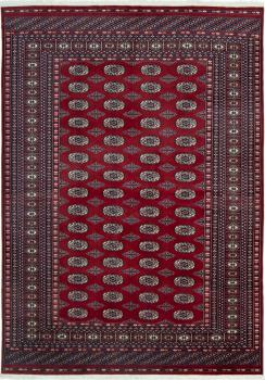 Pakistan Buchara 239x171