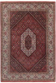 Indo Bidjar 201x138