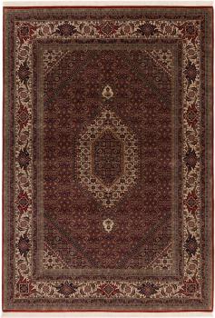 Indo Bidjar 247x174