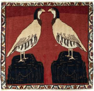 Shiraz 56x59