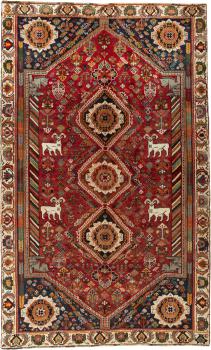 Shiraz 289x181