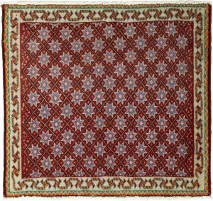 Shiraz 61x66